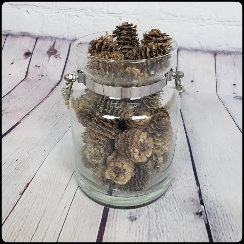 Rustic Nautical Decorative Rope Jar with Mini Pinecones Craft Decor Farm Holiday